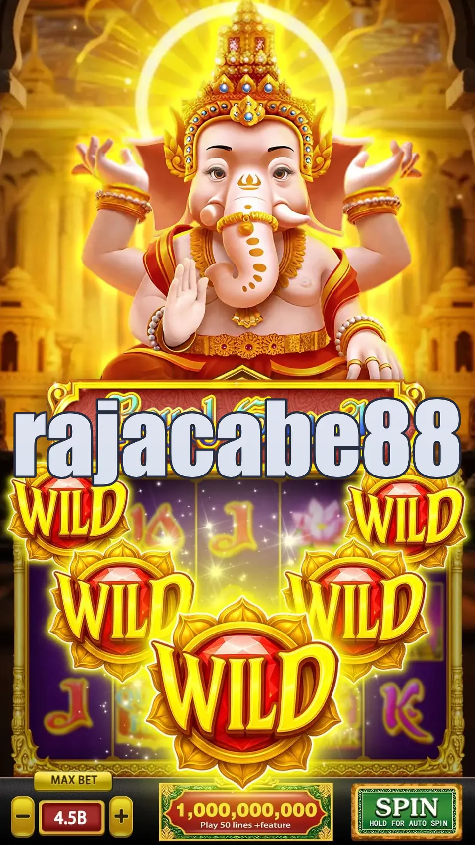 rajacabe88 Masuk